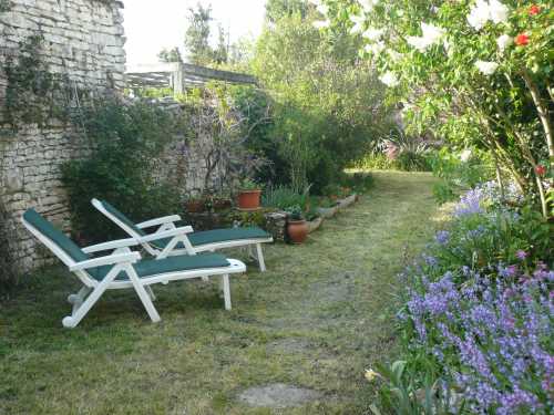 Photo 2 : JARDIN d'une maison située à Le Bois-Plage-en-Ré, île de Ré.