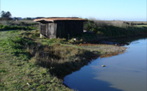 cabane a loix